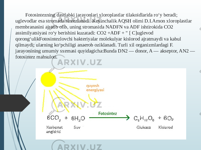 Fotosintezning dastlabki jarayonlari xloroplastlar tilakoidlarida roʻy beradi; uglevodlar esa stromada sintezlanadi. Keyinchalik AQSH olimi D.I.Arnon xloroplastlar membranasini ajratib olib, uning stromasida NADFN va ADF ishtirokida CO2 assimilyatsiyasi roʻy berishini kuzatadi: CO2 +ADF + &#34; [ C]uglevod qorongʻulikFotosintezlovchi bakteriyalar molekulyar kislorod ajratmaydi va kabul qilmaydi; ularning koʻpchiligi anaerob oziklanadi. Turli xil organizmlardagi F. jarayonining umumiy sxemasi quyidagicha:Bunda DN2 — donor, A — akseptor, AN2 — fotosintez mahsuloti. 