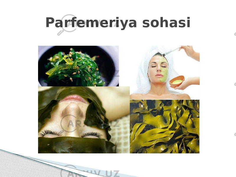 Parfemeriya sohasi 