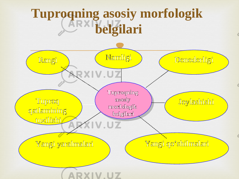 Т uproqning asosiy morfologik belgilari Tuproqning asosiy morfologik belgilariNamligi Rangi Tuproq qatlamining tuzilishi Yangi yaralmalari Donodorligi Joylashishi Yangi qo’shilmalari0102 11 0B05040C050D 0F 