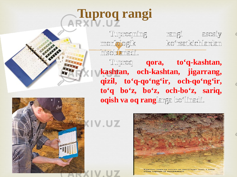 Tuproq rangi Tuproqning rangi asosiy morfologik ko‘rsatkichlardan hisoblanadi. Tuproq qora, to‘q-kashtan, kashtan, och-kashtan, jigarrang, qizil, to‘q-qo‘ng‘ir, och-qo‘ng‘ir, to‘q bo‘z, bo‘z, och-bo‘z, sariq, oqish va oq rang larga bo‘linadi. 