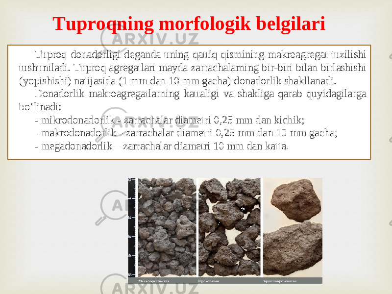 Tuproq donadorligi deganda uning qattiq qismining makroagregat tuzilishi tushuniladi. Tuproq agregatlari mayda zarrachalarning bir-biri bilan birlashishi (yopishishi) natijasida (1 mm dan 10 mm gacha) donadorlik shakllanadi. Donadorlik makroagregatlarning kattaligi va shakliga qarab quyidagilarga bo‘linadi: - mikrodonadorlik - zarrachalar diametri 0,25 mm dan kichik; - makrodonadorlik - zarrachalar diametri 0,25 mm dan 10 mm gacha; - megadonadorlik – zarrachalar diametri 10 mm dan katta. Tuproqning morfologik belgilari 