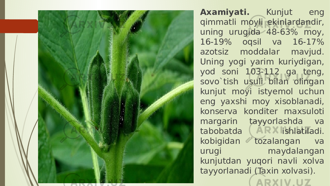 Axamiyati. Kunjut eng qimmatli moyli ekinlardandir, uning urugida 48-63% moy, 16-19% oqsil va 16-17% azotsiz moddalar mavjud. Uning yogi yarim kuriydigan, yod soni 103-112 ga teng, sovo`tish usuli bilan olingan kunjut moyi istyemol uchun eng yaxshi moy xisoblanadi, konserva konditer maxsuloti margarin tayyorlashda va tabobatda ishlatiladi. kobigidan tozalangan va urugi maydalangan kunjutdan yuqori navli xolva tayyorlanadi (Taxin xolvasi). 