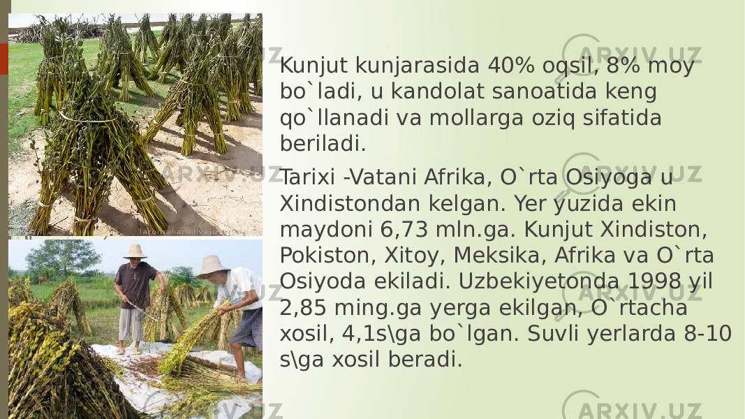 Kunjut kunjarasida 40% oqsil, 8% moy bo`ladi, u kandolat sanoatida keng qo`llanadi va mollarga oziq sifatida beriladi. Tarixi -Vatani Afrika, O`rta Osiyoga u Xindistondan kelgan. Yer yuzida ekin maydoni 6,73 mln.ga. Kunjut Xindiston, Pokiston, Xitoy, Meksika, Afrika va O`rta Osiyoda ekiladi. Uzbekiyetonda 1998 yil 2,85 ming.ga yerga ekilgan, O`rtacha xosil, 4,1s\ga bo`lgan. Suvli yerlarda 8-10 s\ga xosil beradi. 