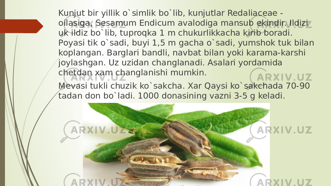 Kunjut bir yillik o`simlik bo`lib, kunjutlar Redaliaceae - oilasiga, Sesamum Endicum avalodiga mansub ekindir. Ildizi uk ildiz bo`lib, tuproqka 1 m chukurlikkacha kirib boradi. Poyasi tik o`sadi, buyi 1,5 m gacha o`sadi, yumshok tuk bilan koplangan. Barglari bandli, navbat bilan yoki karama-karshi joylashgan. Uz uzidan changlanadi. Asalari yordamida chetdan xam changlanishi mumkin. Mevasi tukli chuzik ko`sakcha. Xar Qaysi ko`sakchada 70-90 tadan don bo`ladi. 1000 donasining vazni 3-5 g keladi. 