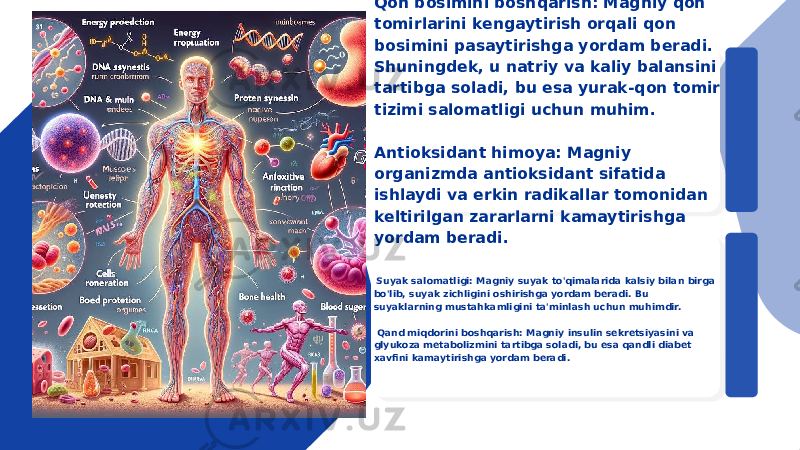 Qon bosimini boshqarish: Magniy qon tomirlarini kengaytirish orqali qon bosimini pasaytirishga yordam beradi. Shuningdek, u natriy va kaliy balansini tartibga soladi, bu esa yurak-qon tomir tizimi salomatligi uchun muhim. Antioksidant himoya: Magniy organizmda antioksidant sifatida ishlaydi va erkin radikallar tomonidan keltirilgan zararlarni kamaytirishga yordam beradi. Suyak salomatligi: Magniy suyak to&#39;qimalarida kalsiy bilan birga bo&#39;lib, suyak zichligini oshirishga yordam beradi. Bu suyaklarning mustahkamligini ta&#39;minlash uchun muhimdir. Qand miqdorini boshqarish: Magniy insulin sekretsiyasini va glyukoza metabolizmini tartibga soladi, bu esa qandli diabet xavfini kamaytirishga yordam beradi. 