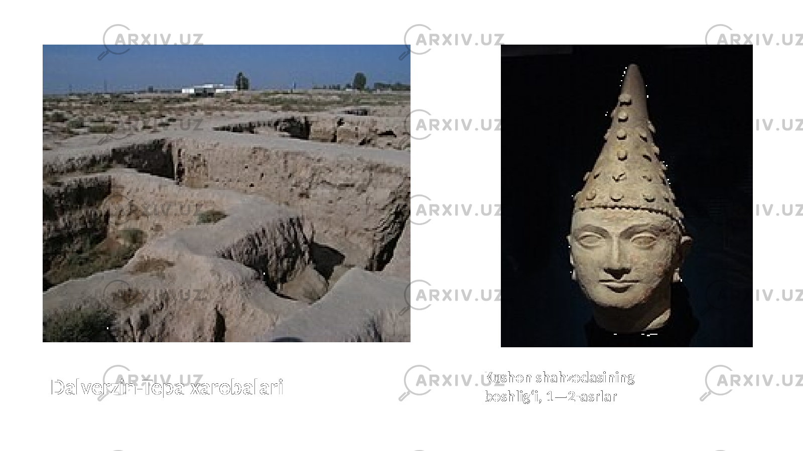 Dalverzin-Tepa xarobalari Kushon shahzodasining boshligʻi, 1—2-asrlar 