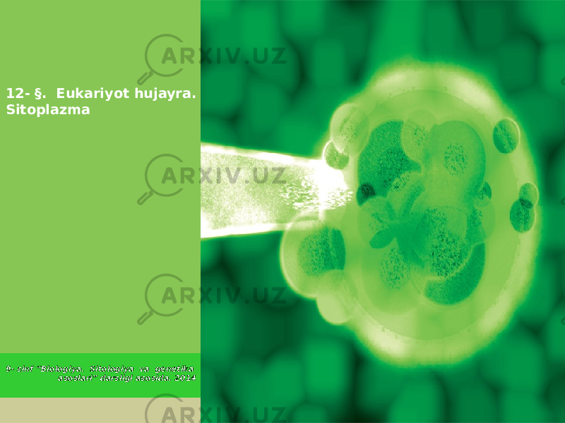  12- §. Eukariyot hujayra. Sitoplazma 9- sinf “Biologiya. Sitologiya va genetika asoslari” darsligi asosida. 2014 