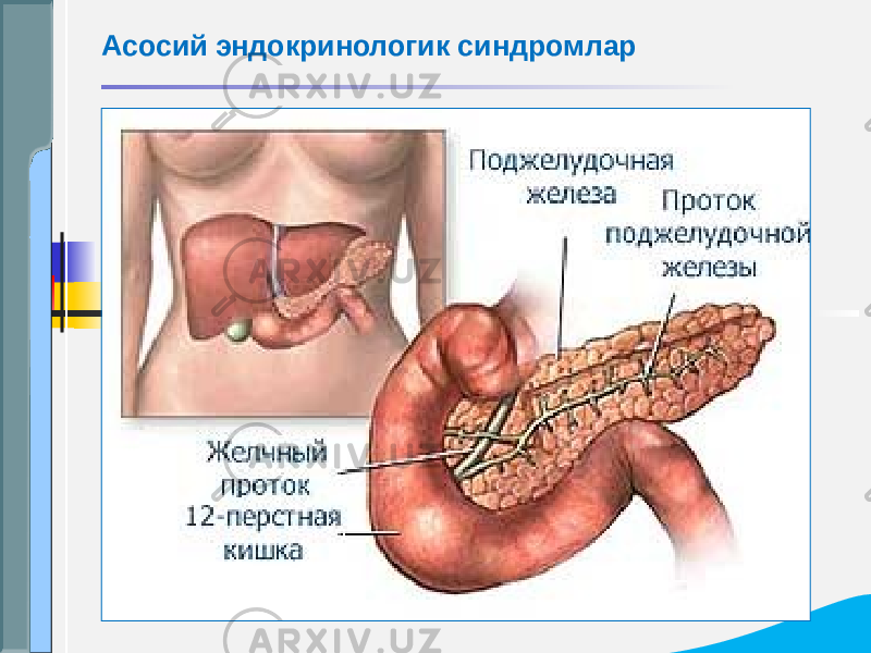 Асосий эндокринологик синдромлар 