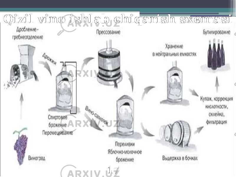 Qizil vino ishlab chiqarish sxemasi 17 