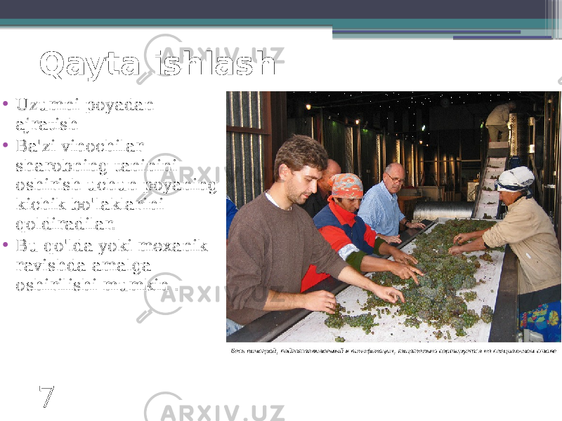 Qayta ishlash • Uzumni poyadan ajratish • Ba&#39;zi vinochilar sharobning taninini oshirish uchun poyaning kichik bo&#39;laklarini qoldiradilar. • Bu qo&#39;lda yoki mexanik ravishda amalga oshirilishi mumkin . 7 