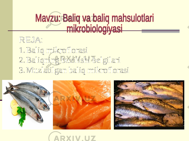 REJA: 1. Baliq mikroflorasi 2. Baliqning buzilishi belgilari 3. Muzlatilgan baliq mikroflorasi 