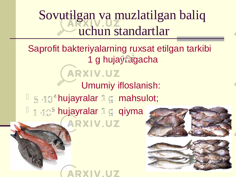 Sovutilgan va muzlatilgan baliq uchun standartlar Saprofit bakteriyalarning ruxsat etilgan tarkibi 1 g hujayragacha . Umumiy ifloslanish:  hujayralar 1 g. mahsulot;  hujayralar 1 g. qiyma go&#39;sht. 510 4 10 5  5 10 1  