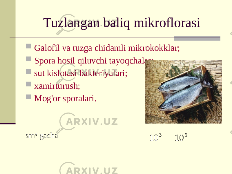 Tuzlangan baliq mikroflorasi  Galofil va tuzga chidamli mikrokokklar;  Spora hosil qiluvchi tayoqchalar;  sut kislotasi bakteriyalari;  xamirturush;  Mog&#39;or sporalari. sm³ gacha3 10 6 10 