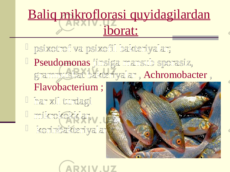 Baliq mikroflorasi quyidagilardan iborat:  psixotrof va psixofil bakteriyalar;  Pseudomonas jinsiga mansub sporasiz, grammusbat bakteriyalar , Achromobacter , Flavobacterium ;  har xil turdagi  mikrokokklar,  korinbakteriyalar. 