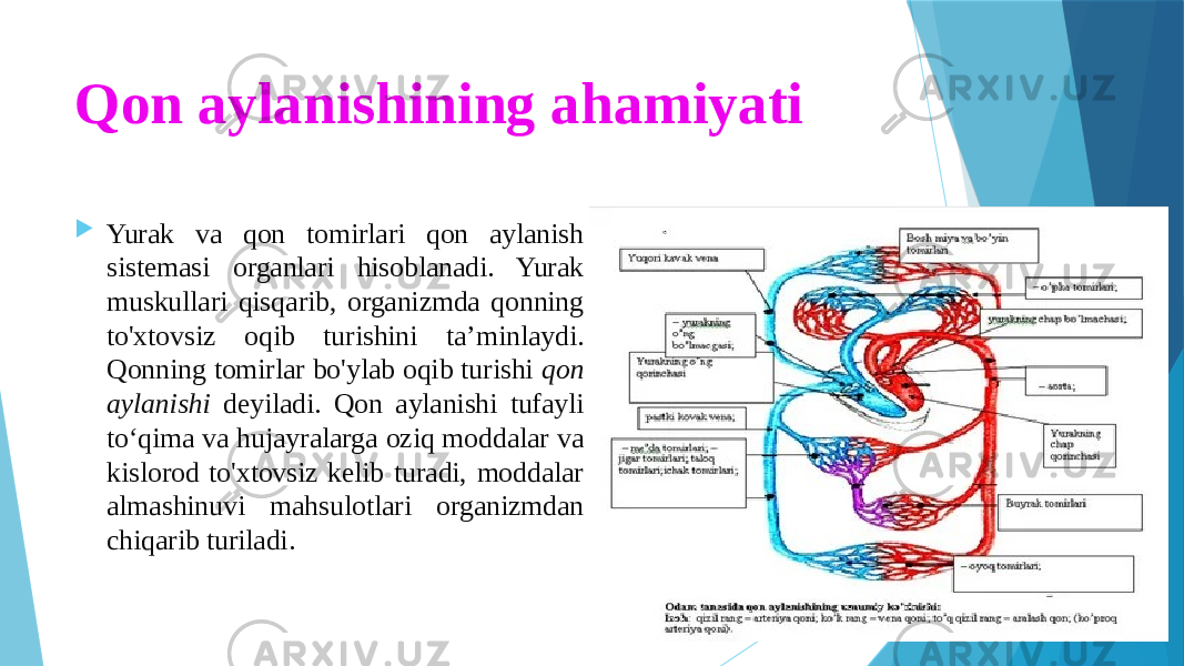 Qon aylanishining ahamiyati  Yurak va qon tomirlari qon aylanish sistemasi organlari hisoblanadi. Yurak muskullari qisqarib, organizmda qonning to&#39;xtovsiz oqib turishini ta’minlaydi. Qonning tomirlar bo&#39;ylab oqib turishi qon aylanishi deyiladi. Qon aylanishi tufayli to‘qima va hujayralarga oziq moddalar va kislorod to&#39;xtovsiz kelib turadi, moddalar almashinuvi mahsulotlari organizmdan chiqarib turiladi. 