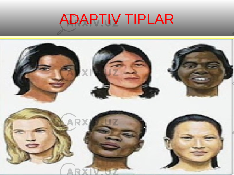 ADAPTIV TIPLAR 