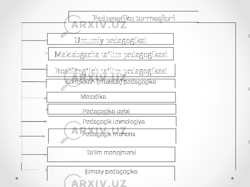 Umumiy pеdаgоgikаi Mаktаbgаchа tа’lim pеdаgоgikаsi Boshlang’ich ta’lim pedagogikasi Pеdаgоgikа tаrmоqlаri Korreksion (maxsus) pedagogika Metodika Pedagogika tarixi Ta’lim menejmenti Ijtimoiy pedagogika Pedagogik texnologiya Pedagogik mahorat 