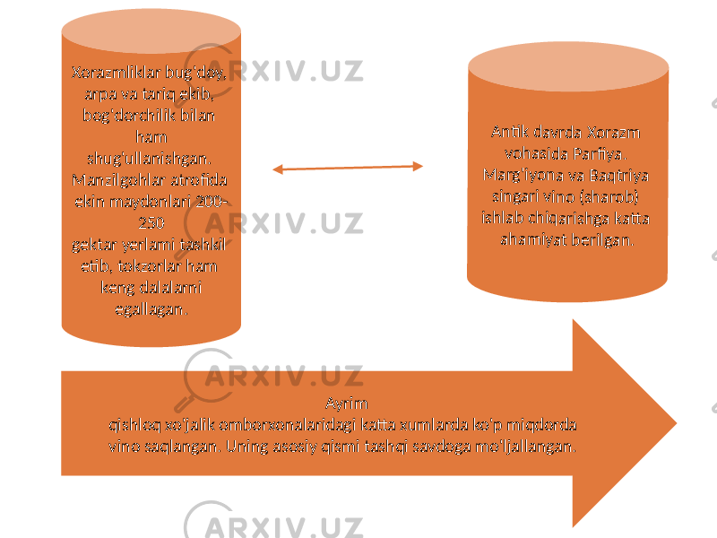 Xorazmliklar bug&#39;doy, arpa va tariq ekib, bog&#39;dorchilik bilan ham shug&#39;ullanishgan. Manzilgohlar atrofida ekin maydonlari 200- 250 gektar yerlami tashkil etib, tokzorlar ham keng dalalarni egallagan. An tik da vrd a Xo raz m voh as ida P arfi ya . Ma rg &#39;iyo na va B aq triy a sin gar i v ino (s ha rob ) ish lab ch iq ari shg a katt a aha m iya t b er ilga n. Ayrim qishloq xo&#39;jalik omborxonalaridagi katta xumlarda ko&#39;p miqdorda vino saqlangan. Uning asosiy qismi tashqi savdoga mo&#39;ljallangan. 