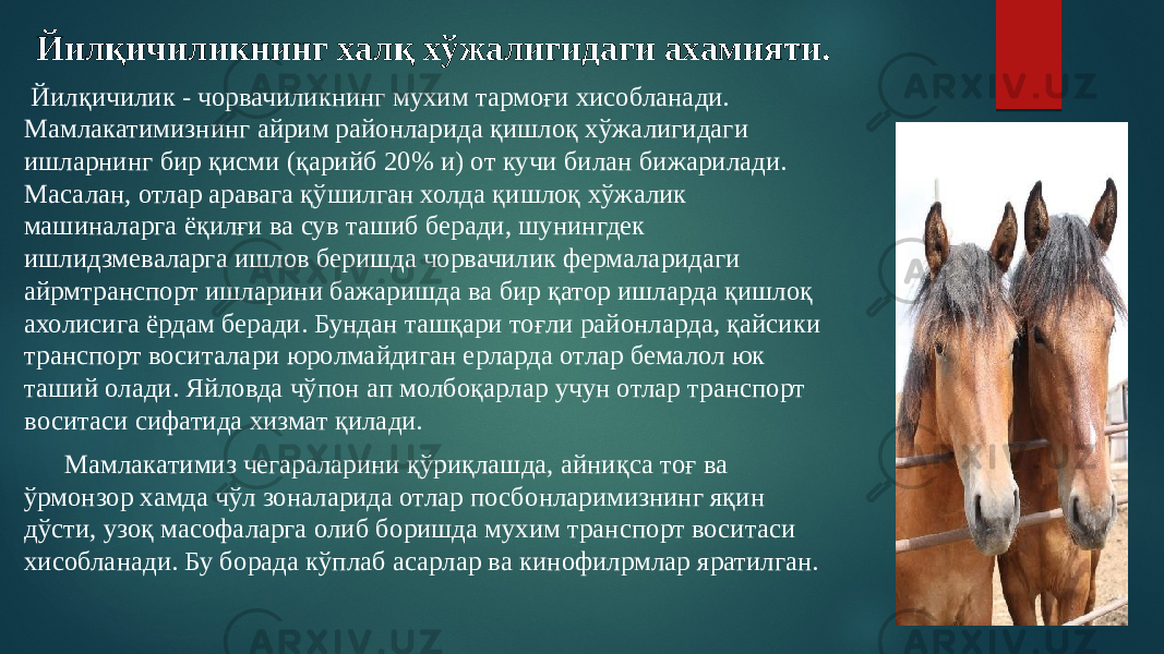 Йилқичиликнинг халқ хўжалигидаги ахамияти. Йилқичилик - чорвачиликнинг мухим тармоғи хисобланади. Мамлакатимизнинг айрим районларида қишлоқ хўжалигидаги ишларнинг бир қисми (қарийб 20% и) от кучи билан бижарилади. Масалан, отлар аравага қўшилган холда қишлоқ хўжалик машиналарга ёқилғи ва сув ташиб беради, шунингдек ишлидзмеваларга ишлов беришда чорвачилик фермаларидаги айрмтранспорт ишларини бажаришда ва бир қатор ишларда қишлоқ ахолисига ёрдам беради. Бундан ташқари тоғли районларда, қайсики транспорт воситалари юролмайдиган ерларда отлар бемалол юк таший олади. Яйловда чўпон ап молбоқарлар учун отлар транспорт воситаси сифатида хизмат қилади. Мамлакатимиз чегараларини қўриқлашда, айниқса тоғ ва ўрмонзор хамда чўл зоналарида отлар посбонларимизнинг яқин дўсти, узоқ масофаларга олиб боришда мухим транспорт воситаси хисобланади. Бу борада кўплаб асарлар ва кинофилpмлар яратилган. 