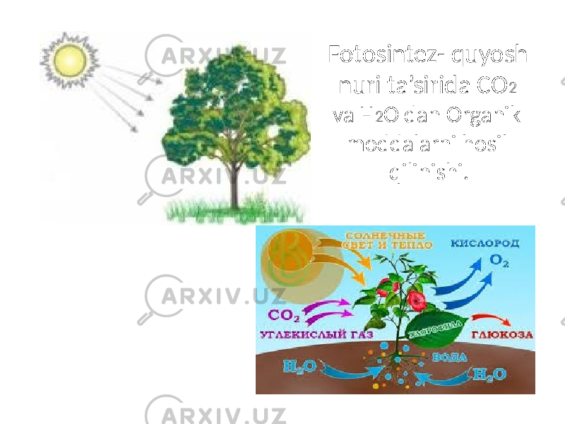 Fotosintez- quyosh nuri ta’sirida CO 2 va H 2 O dan Organik moddalarni hosil qilinishi. 