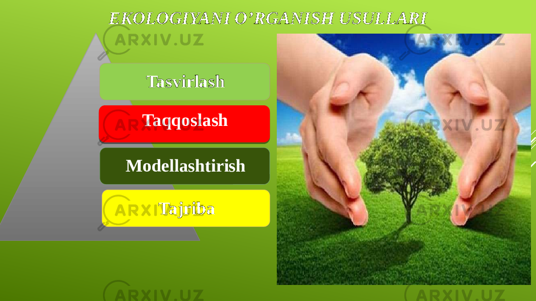 EKOLOGIYANI O’RGANISH USULLARI Tasvirlash Taqqoslash Modellashtirish Tajriba 1C 