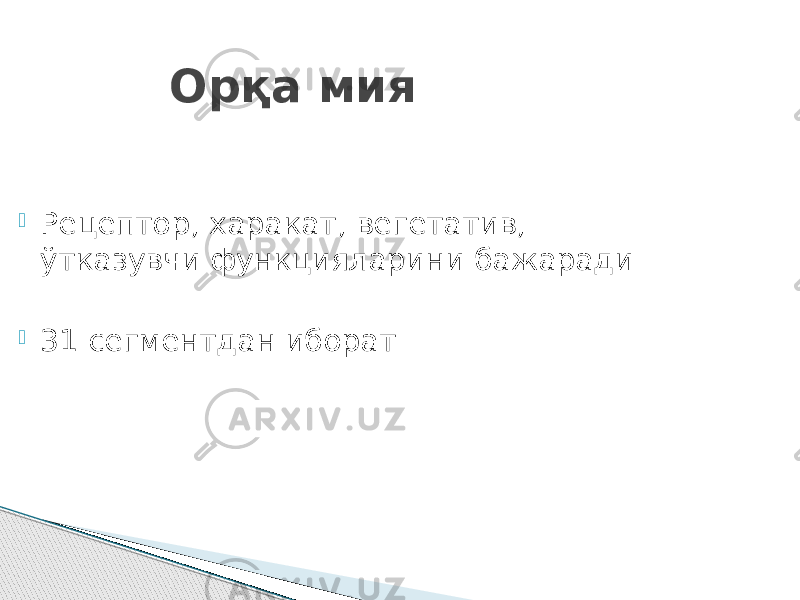 Орқа мия  Рецептор, харакат, вегетатив, ўтказувчи функцияларини бажаради  31 сегментдан иборат 