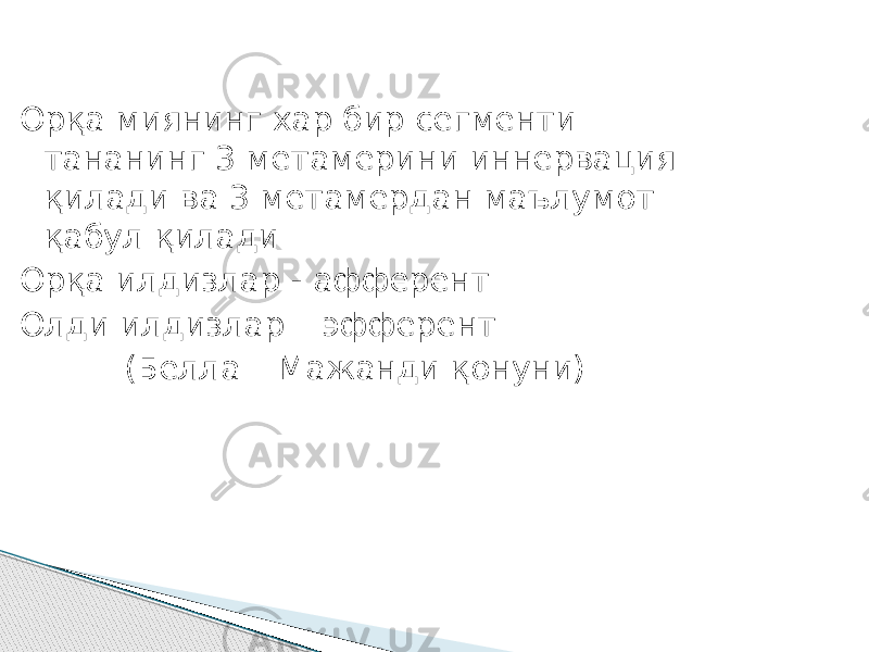 Орқа миянинг хар бир сегменти тананинг 3 метамерини иннервация қилади ва 3 метамердан маълумот қабул қилади Орқа илдизлар - афферент Олди илдизлар – эфферент (Белла – Мажанди қонуни) 