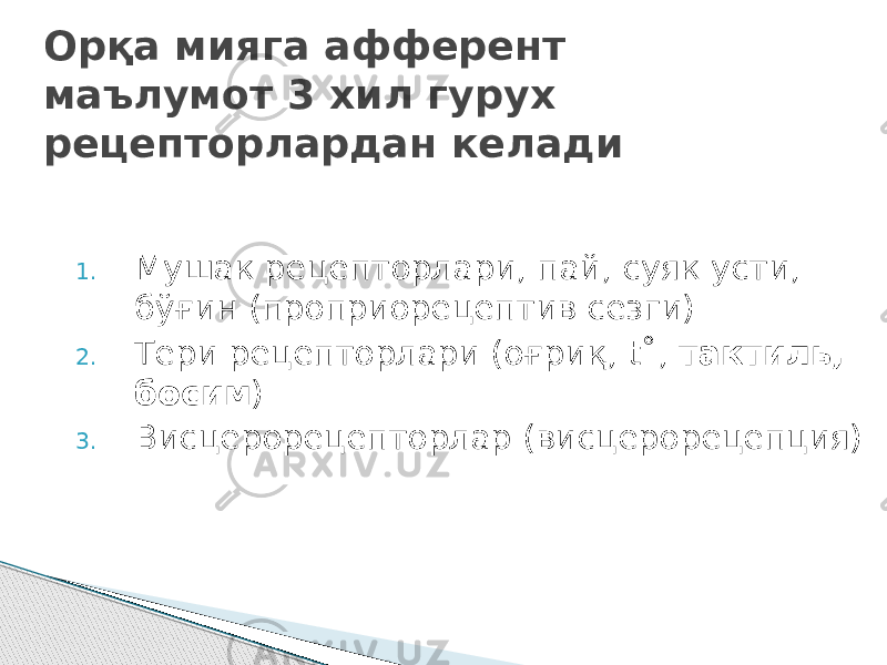 Орқа мияга афферент маълумот 3 хил гурух рецепторлардан келади 1. Мушак рецепторлари, пай, суяк усти, бўғин (проприорецептив сезги) 2. Тери рецепторлари (оғриқ, t ˚, тактиль, босим ) 3. Висцерорецепторлар (висцерорецепция) 