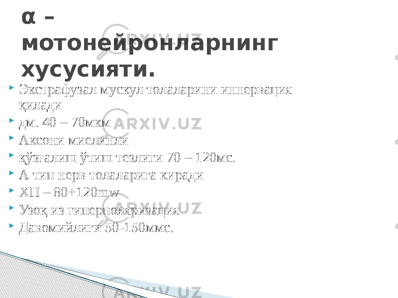 α – мотонейронларнинг хусусияти.  Экстрафузал мускул толаларини иннервация қилади  дм. 40 – 70мкм  Аксони миелинли  қўзғалиш ўтиш тезлиги 70 – 120мс.  А тип нерв толаларига киради  ХП – 80+120mw  Узоқ из гиперполяризация  Давомийлиги 50-150ммс. 