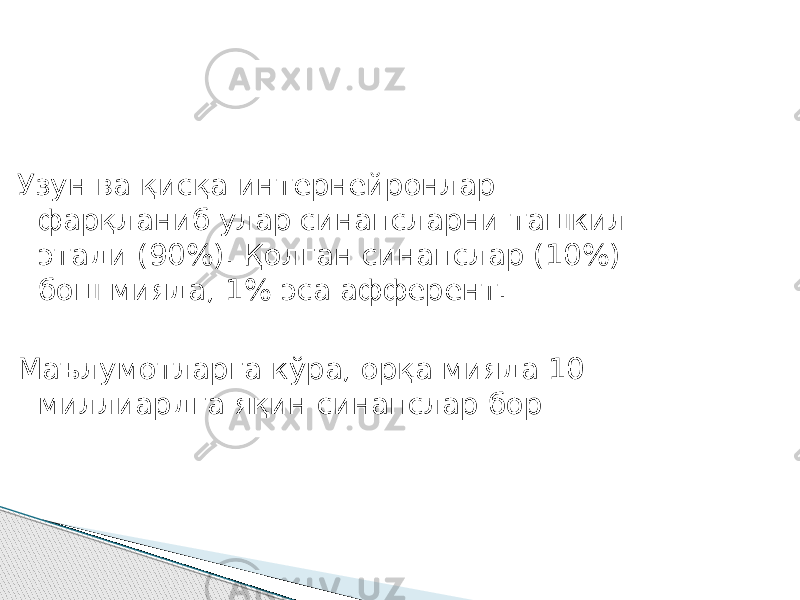 Узун ва қисқа интернейронлар фарқланиб улар синапсларни ташкил этади (90%). Қолган синапслар (10%) бош мияда, 1% эса афферент. Маълумотларга кўра, орқа мияда 10 миллиардга яқин синапслар бор 