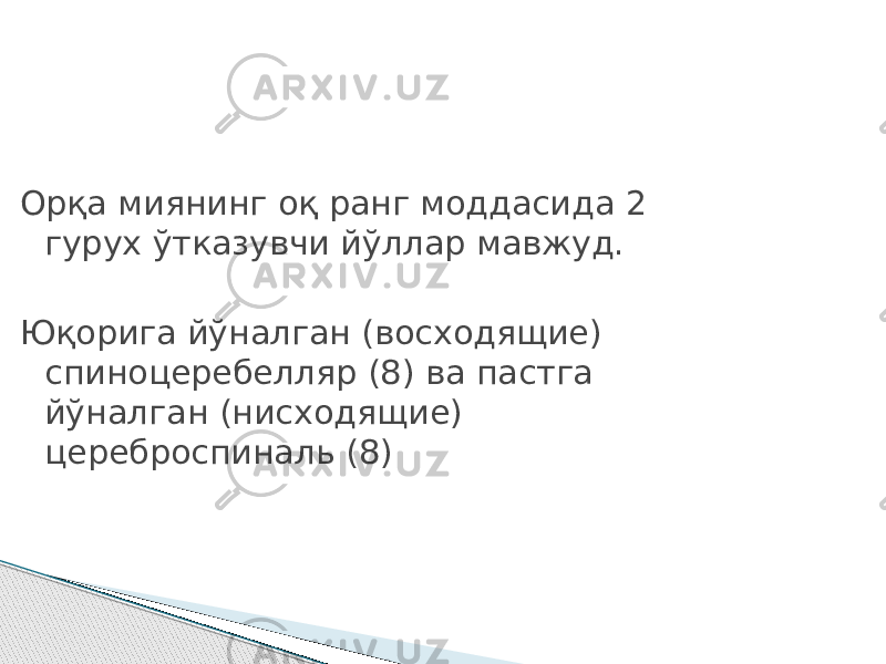 Орқа миянинг оқ ранг моддасида 2 гурух ўтказувчи йўллар мавжуд. Юқорига йўналган (восходящие) спиноцеребелляр (8) ва пастга йўналган (нисходящие) цереброспиналь (8) 