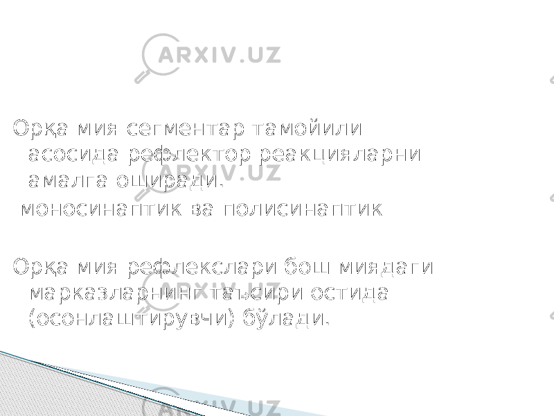 Орқа мия сегментар тамойили асосида рефлектор реакцияларни амалга оширади. моносинаптик ва полисинаптик Орқа мия рефлекслари бош миядаги марказларнинг таъсири остида (осонлаштирувчи) бўлади. 