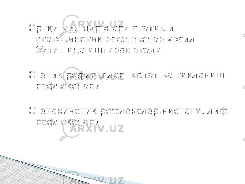 Ортқи мия ядролари статик и статокинетик рефлекслар хосил бўлишида иштирок этади Статик рефлекслар: холат ва тикланиш рефлекслари Статокинетик рефлекслар:нистагм, лифт рефлекслари 