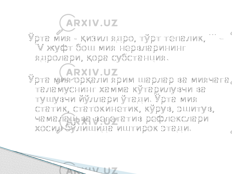 Ўрта мия - қизил ядро, тўрт тепалик, III – IV жуфт бош мия нервларининг ядролари, қора субстанция. Ўрта мия орқали ярим шарлар ва миячага таламуснинг хамма кўтарилувчи ва тушувчи йўллари ўтади. Ўрта мия статик, статокинетик, кўрув, эшитув, чамалаш ва вегетатив рефлекслари хосил бўлишида иштирок этади. 