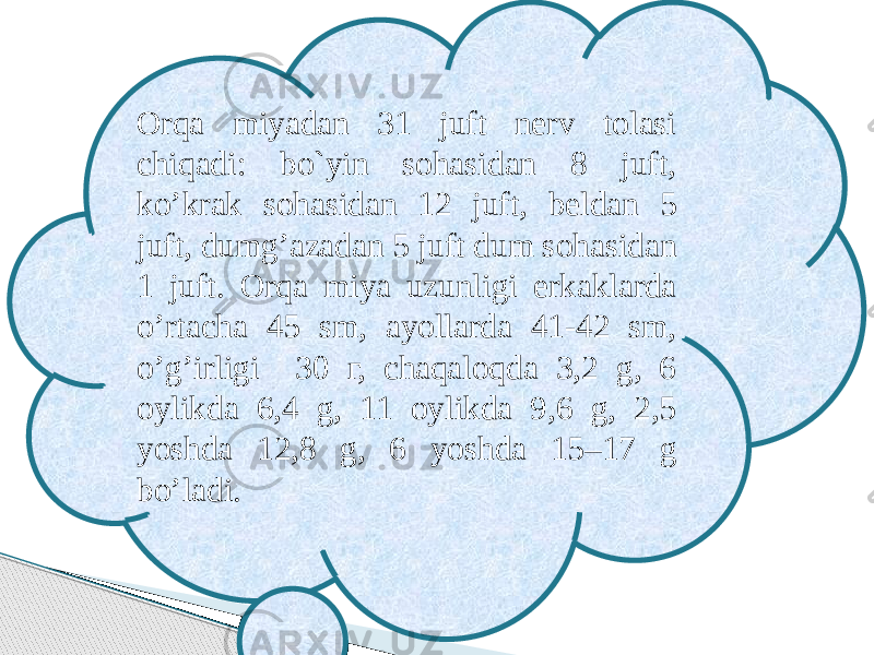 Orqa miyadan 31 juft nerv tolasi chiqadi: bo`yin sohasidan 8 juft, ko’krak sohasidan 12 juft, beldan 5 juft, dumg’azadan 5 juft dum sohasidan 1 juft. Orqa miya uzunligi erkaklarda o’rtacha 45 sm, ayollarda 41-42 sm, o’g’irligi 30 г, chaqaloqda 3,2 g, 6 oylikda 6,4 g, 11 oylikda 9,6 g, 2,5 yoshda 12,8 g, 6 yoshda 15–17 g bo’ladi. 