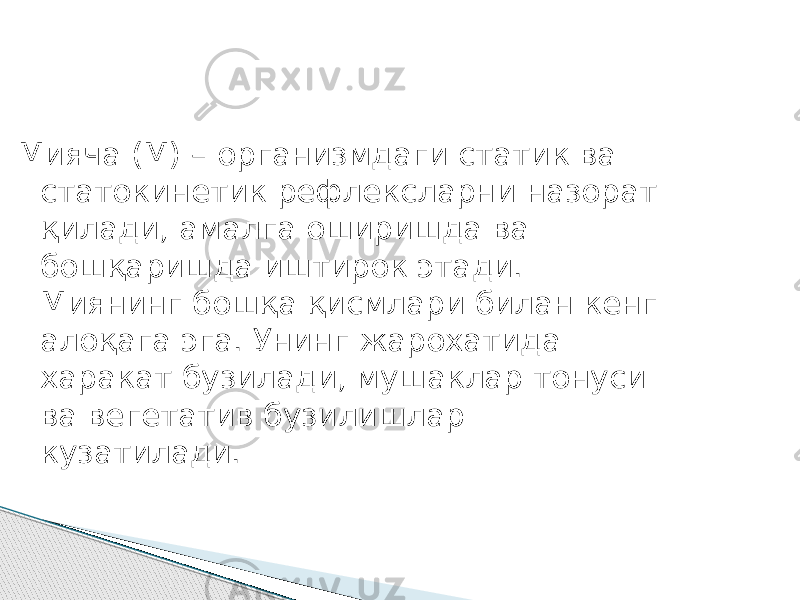 Мияча (М) – организмдаги статик ва статокинетик рефлексларни назорат қилади, амалга оширишда ва бошқаришда иштирок этади. Миянинг бошқа қисмлари билан кенг алоқага эга. Унинг жарохатида харакат бузилади, мушаклар тонуси ва вегетатив бузилишлар кузатилади. 