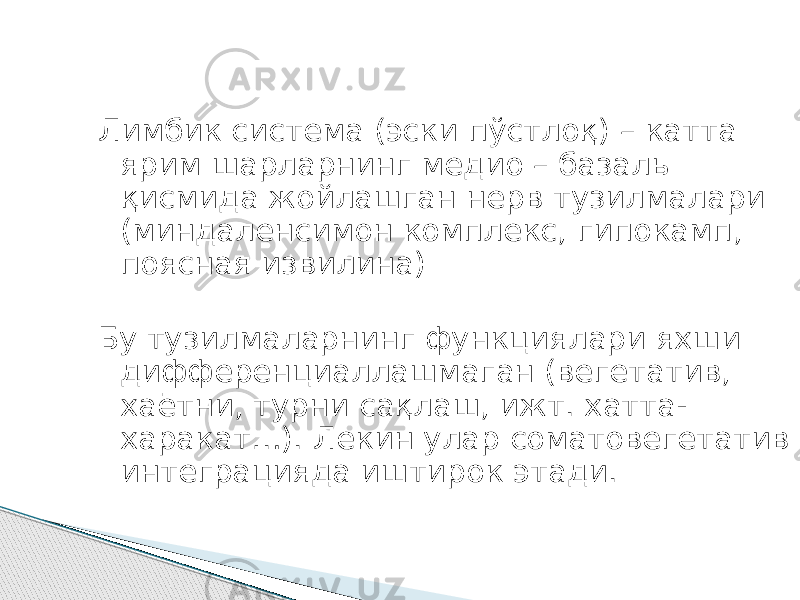 Лимбик система (эски пўстлоқ) – катта ярим шарларнинг медио – базаль қисмида жойлашган нерв тузилмалари (миндаленсимон комплекс, гипокамп, поясная извилина) Бу тузилмаларнинг функциялари яхши дифференциаллашмаган (вегетатив, хаётни, турни сақлаш, ижт. хатта- харакат…). Лекин улар соматовегетатив интеграцияда иштирок этади. 