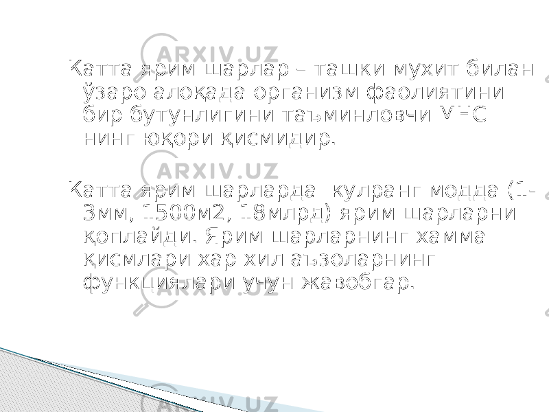 Катта ярим шарлар – ташки мухит билан ўзаро алоқада организм фаолиятини бир бутунлигини таъминловчи МНС нинг юқори қисмидир. Катта ярим шарларда кулранг модда (1- 3мм, 1500м2, 18млрд) ярим шарларни қоплайди. Ярим шарларнинг хамма қисмлари хар хил аъзоларнинг функциялари учун жавобгар. 