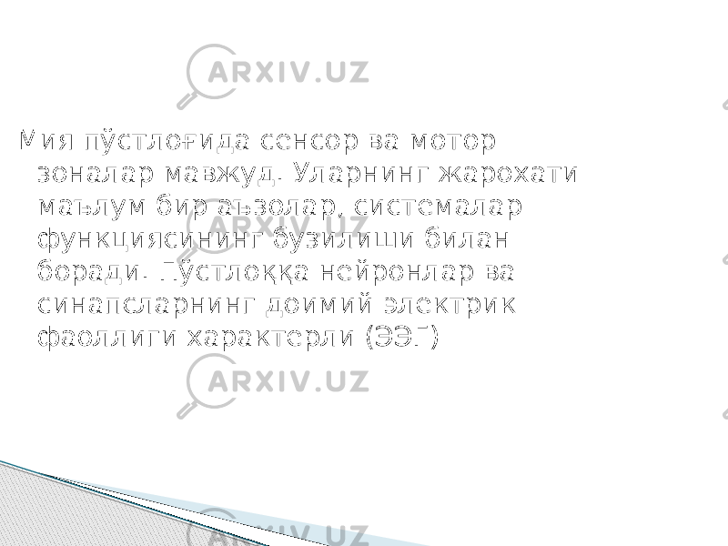 Мия пўстлоғида сенсор ва мотор зоналар мавжуд. Уларнинг жарохати маълум бир аъзолар, системалар функциясининг бузилиши билан боради. Пўстлоққа нейронлар ва синапсларнинг доимий электрик фаоллиги характерли (ЭЭГ) 