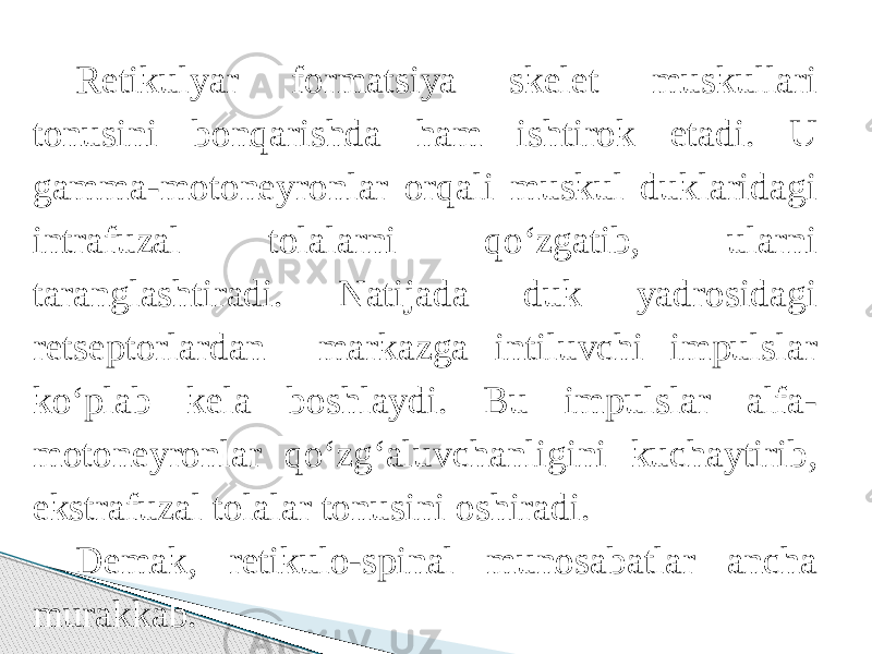 Retikulyar formatsiya skelet muskullari tonusini bonqarishda ham ishtirok etadi. U gamma-motoneyronlar orqali muskul duklaridagi intrafuzal tolalarni qо‘zgatib, ularni taranglashtiradi. Natijada duk yadrosidagi retseptorlardan markazga intiluvchi impulslar kо‘plab kela boshlaydi. Bu impulslar alfa- motoneyronlar qо‘zg‘aluvchanligini kuchaytirib, ekstrafuzal tolalar tonusini oshiradi. Demak, retikulo-spinal munosabatlar ancha murakkab. 