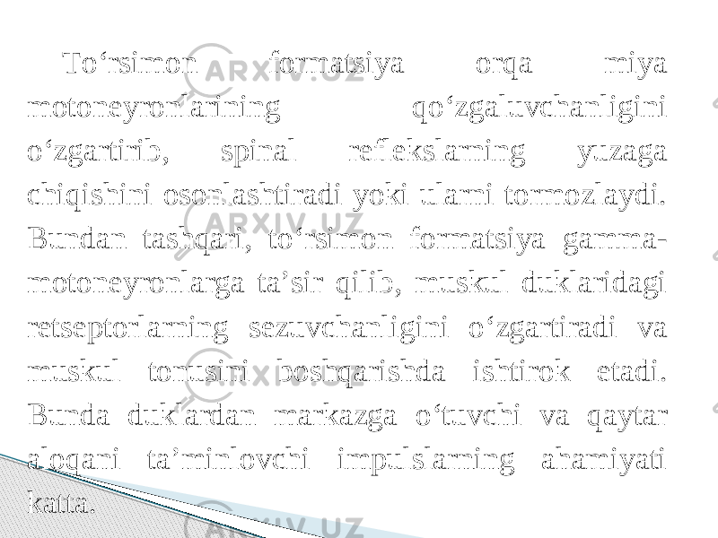 Tо‘rsimon formatsiya orqa miya motoneyronlarining qо‘zgaluvchanligini о‘zgartirib, spinal reflekslarning yuzaga chiqishini osonlashtiradi yoki ularni tormozlaydi. Bundan tashqari, tо‘rsimon formatsiya gamma- motoneyronlarga ta’sir qilib, muskul duklaridagi retseptorlarning sezuvchanligini о‘zgartiradi va muskul tonusini boshqarishda ishtirok etadi. Bunda duklardan markazga о‘tuvchi va qaytar aloqani ta’minlovchi impulslarning ahamiyati katta. 