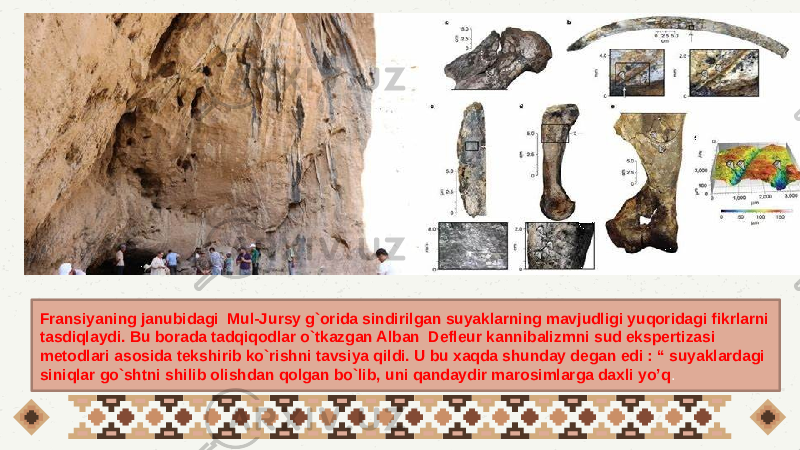 Fransiyaning janubidagi Mul-Jursy g`orida sindirilgan suyaklarning mavjudligi yuqoridagi fikrlarni tasdiqlaydi. Bu borada tadqiqodlar o`tkazgan Alban Defleur kannibalizmni sud ekspertizasi metodlari asosida tekshirib ko`rishni tavsiya qildi. U bu xaqda shunday degan edi : “ suyaklardagi siniqlar go`shtni shilib olishdan qolgan bo`lib, uni qandaydir marosimlarga daxli yo’q . 