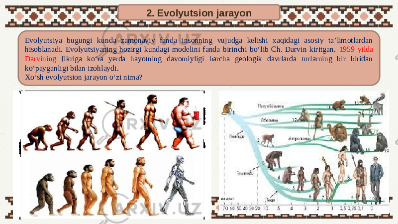 2. Evolyutsion jarayon Evolyutsiya bugungi kunda zamonaviy fanda insonning vujudga kelishi xaqidagi asosiy ta’limotlardan hisoblanadi. Evolyutsiyaning hozirgi kundagi modelini fanda birinchi bo‘lib Ch. Darvin kiritgan. 1959 yilda Darvining fikriga ko‘ra yerda hayotning davomiyligi barcha geologik davrlarda turlarning bir biridan ko‘payganligi bilan izohlaydi. Xo‘sh evolyutsion jarayon o‘zi nima? 