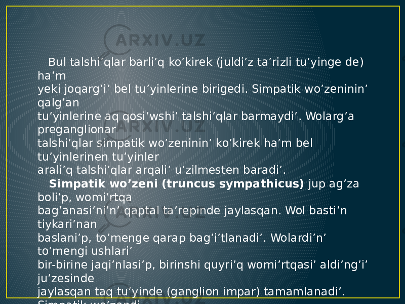  Bul talshi’qlar barli’q ko’kirek (juldi’z ta’rizli tu’yinge de) ha’m yeki joqarg’i’ bel tu’yinlerine birigedi. Simpatik wo’zeninin’ qalg’an tu’yinlerine aq qosi’wshi’ talshi’qlar barmaydi’. Wolarg’a preganglionar talshi’qlar simpatik wo’zeninin’ ko’kirek ha’m bel tu’yinlerinen tu’yinler arali’q talshi’qlar arqali’ u’zilmesten baradi’. Simpatik wo’zeni (truncus sympathicus) jup ag’za boli’p, womi’rtqa bag’anasi’ni’n’ qaptal ta’repinde jaylasqan. Wol basti’n tiykari’nan baslani’p, to’menge qarap bag’i’tlanadi’. Wolardi’n’ to’mengi ushlari’ bir-birine jaqi’nlasi’p, birinshi quyri’q womi’rtqasi’ aldi’ng’i’ ju’zesinde jaylasqan taq tu’yinde (ganglion impar) tamamlanadi’. Simpatik wo’zendi 20 — 25 simpatik tu’yinler ha’m wolardi’ wo’z ara biriktiriwshi tu’yinler arali’q talshi’qlar (r. r. interganglionares) payda yetedi. Simpatik wo’zeni tu’yinleri duk ta’rizli, oval, u’shmu’yeshlik ha’m ko’p mu’yeshli forma- larda ushi’rasadi’. 