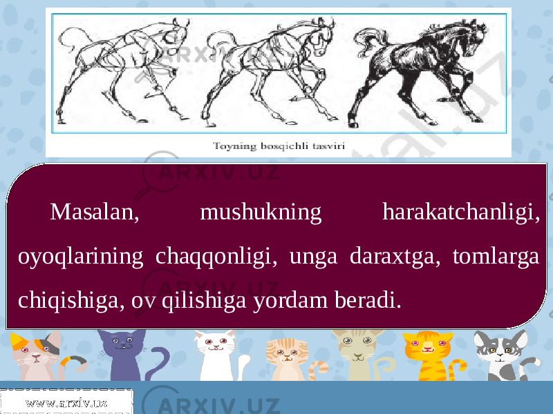 Masalan, mushukning harakatchanligi, oyoqlarining chaqqonligi, unga daraxtga, tomlarga chiqishiga, ov qilishiga yordam beradi. www.arxiv.uz 