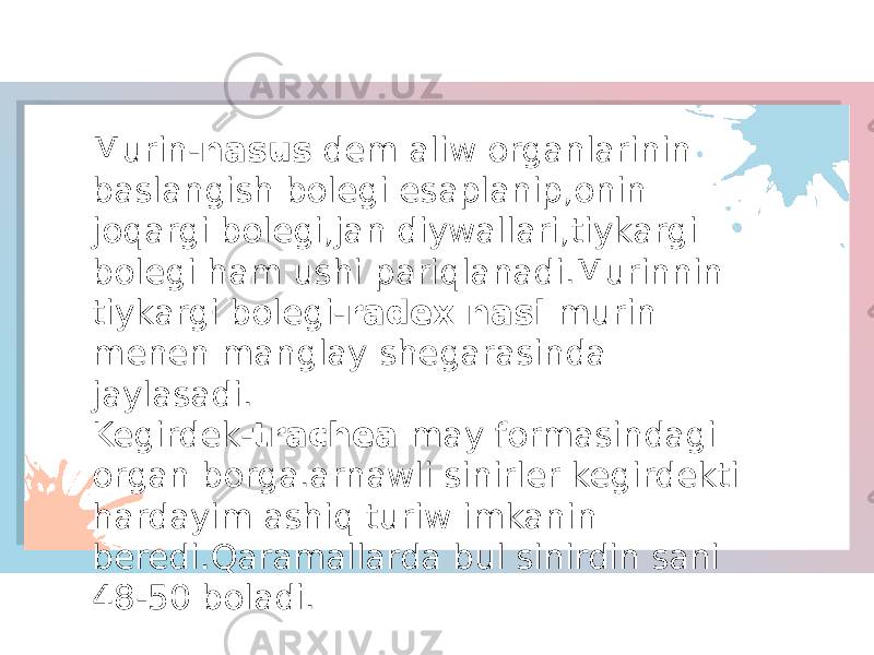 Murin- nasus dem aliw organlarinin baslangish bolegi esaplanip,onin joqargi bolegi,jan diywallari,tiykargi bolegi ham ushi pariqlanadi.Murinnin tiykargi bolegi- radex nasi murin menen manglay shegarasinda jaylasadi. Kegirdek- trachea may formasindagi organ borga.arnawli sinirler kegirdekti hardayim ashiq turiw imkanin beredi.Qaramallarda bul sinirdin sani 48-50 boladi. 