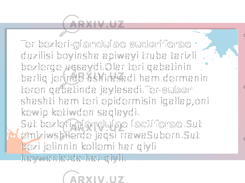 Ter bezleri- glandulae sudoriferae duzilisi boyinsha apiwayi truba tarizli bezlerge uqsaydi.Olar teri qabatinin barliq jerinde ushirasadi ham dermanin teren qabatinda jaylasadi.Ter- subor shashti ham teri epidermisin igallap,oni kewip ketiwden saqlaydi. Sut bezleri- glandulae lactiferae. Sut emiziwshilerde jaqsi rrawaSubern.Sut bezi jelinnin kollemi har qiyli haywanlarda har qiyli. 