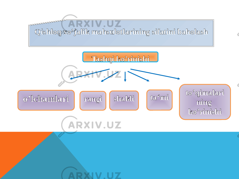 Qishloq xo’jalik mahsulotlarining sifatini baholash o’lchamlari rangi shakli ta‘mi to’qimalari ning ko’rinishi Tashqi ko’rinishi 