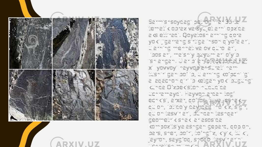 Sarmishsoydagi petrogliflar 35 ta tematik obraz va syujetlarni opzida aks ettiradi. Qoyatoshlarning qora yoki jigarrang sirtiga inson qiyofalari, ularning mehnat va ov qurollari, liboslari, maishiy buyumlari oʻyib ishlangan. Ular bilan bir qatorda har xil yovvoyi hayvoblar surati ham tushirilgan boʻlib, ularning koʻpchiligi allaqachon qirilib ketgan yoki bugungi kunda Oʻzbekiston hududida uchramaydi. Hayvonlardan togʻ echkisi, arxar, qoʻtos, tuya, eshak, qulon, ibtidoiy davrdagi hoʻkiz, sigir, qulon tasvirlari, bundan tashqari geometrik shakllar asosida kompozitsiyalashgan gepard, qoplon, bars, sher, boʻri, toʻngʻiz, kiyik, tulki, jayron, saygʻoq, shoqol tasvirlarini uchratish mumkin 