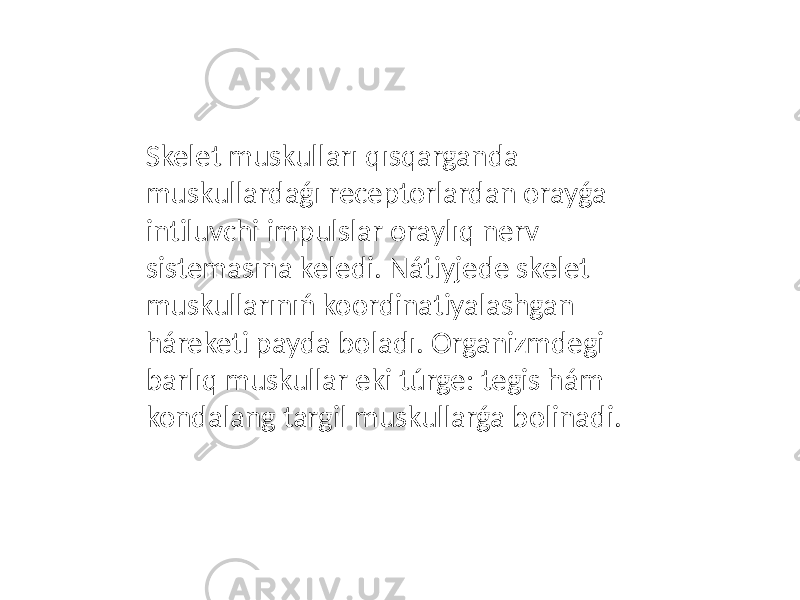 Skelet muskulları qısqarganda muskullardaǵı receptorlardan orayǵa intiluvchi impulslar oraylıq nerv sistemasına keledi. Nátiyjede skelet muskullarınıń koordinatiyalashgan háreketi payda boladı. Organizmdegi barlıq muskullar eki túrge: tegis hám kondalang targil muskullarǵa bolinadi. 